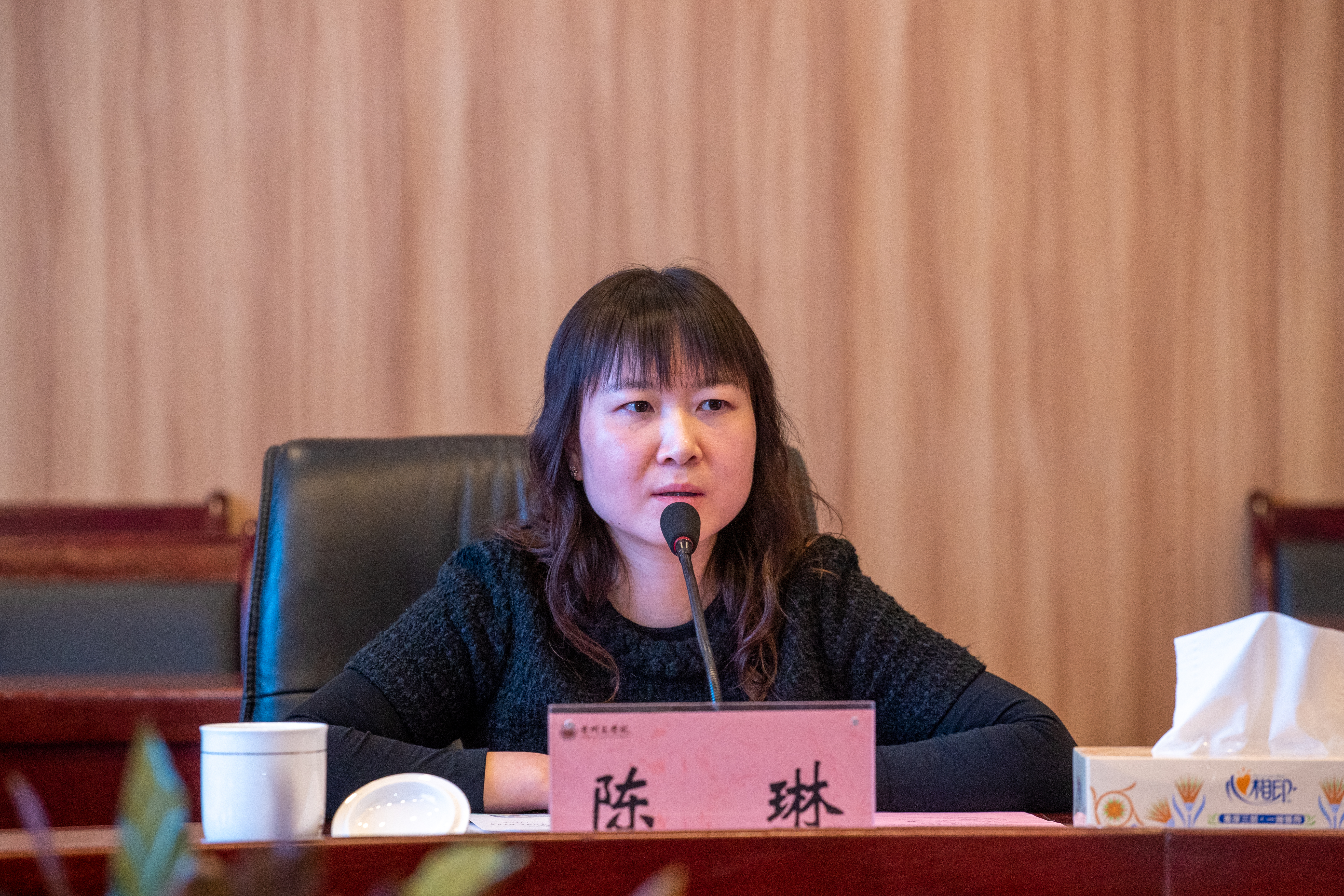 陈琳.jpg 陈琳.jpg